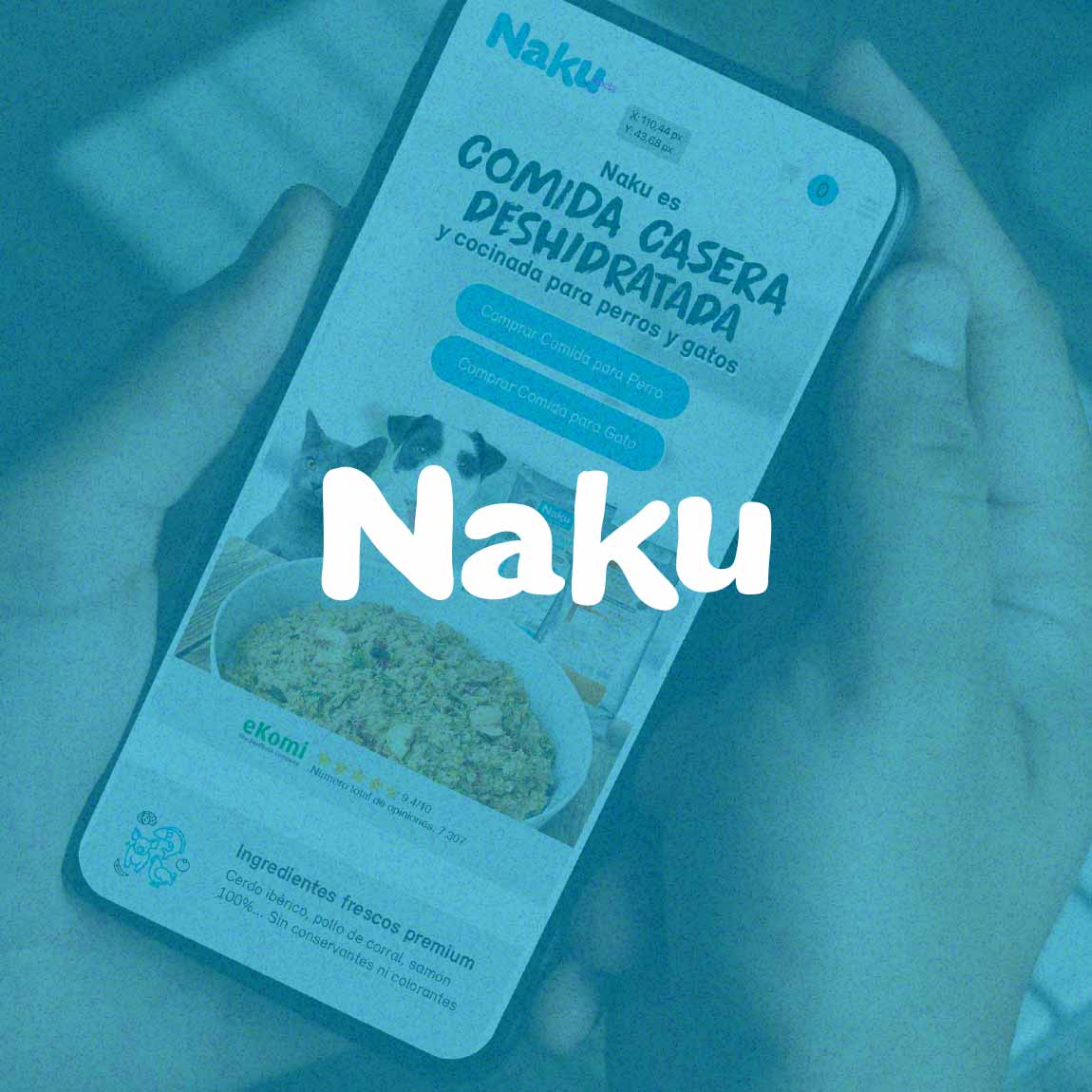 Naku diseño web y redes